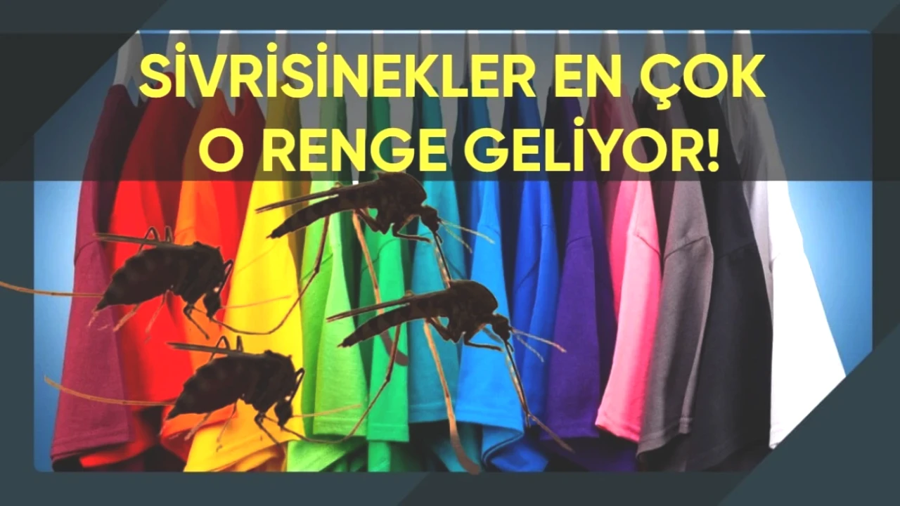 Sivrisineklerden Kaçınmak için Giymemeniz Gereken Renk Kıyafetler!