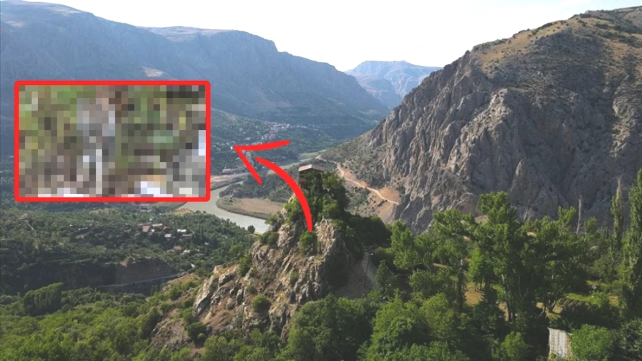 Erzincan'da 'Orman Hayaleti' Görüldü! Kırmızı Liste Alarm Veriyor!