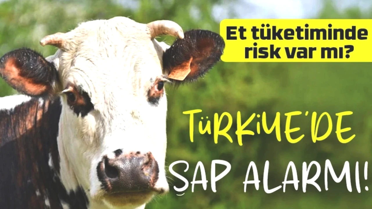 Türkiye'de Şap Virüsü Alarmı! Irak'tan Gelen Tehdit 81 İli Karantinaya Aldı