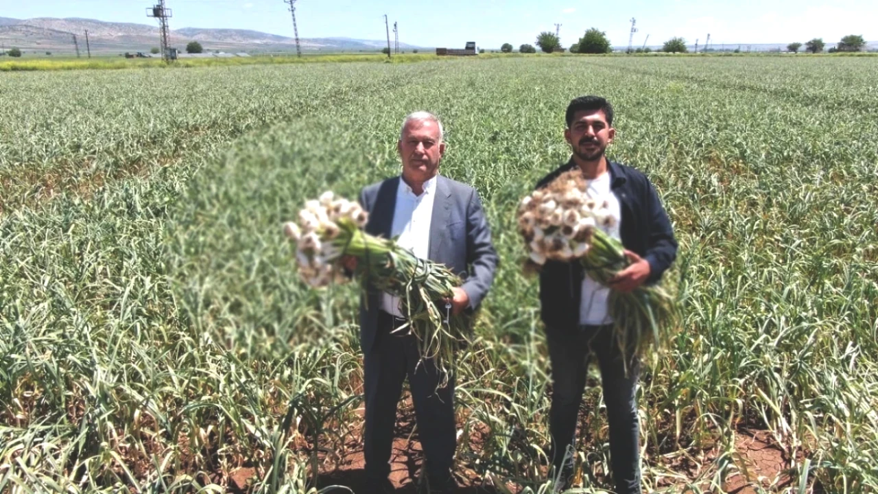 Araban'da Üretim Patladı! 10 Bin İşçi Günde 2500 TL Kazanıyor!