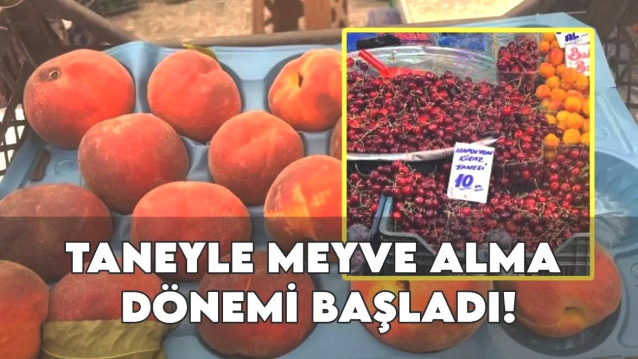 Kiraz Fiyatlarında Şok! Tek Tanesi Tüm Zamanların Rekoru: 50 TL Oldu!