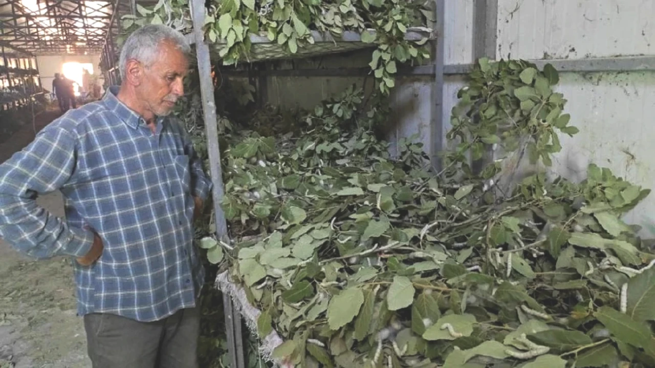 3 Aileyle Başlayan Yatırım Projesi 150 Aileye Ulaştı! Her Ay 100 Bin TL Kazanma Fırsatı!